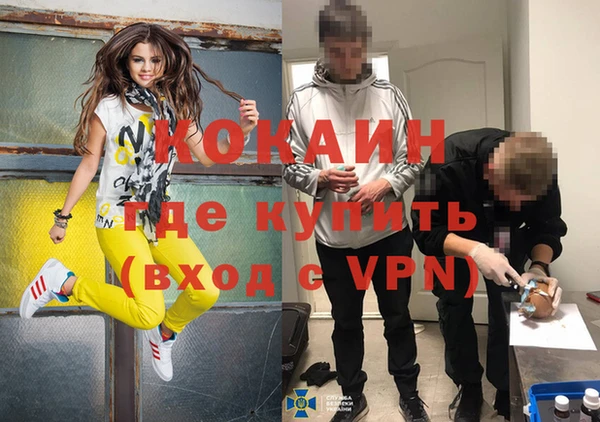 прущие грибы Волосово